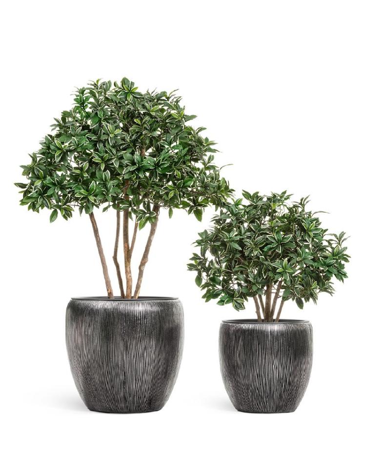 Кашпо TREEZ Effectory Wow Конус-Чаша Стальное серебро H-46 см в интернет-магазине Decoram.ru Фото