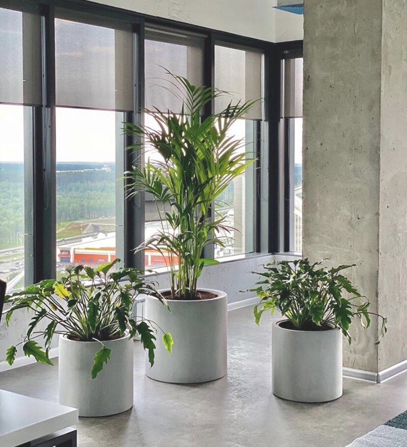Кашпо TREEZ Effectory Beton Цилиндр Белый песок H-51 см в интернет-магазине Decoram.ru Фото