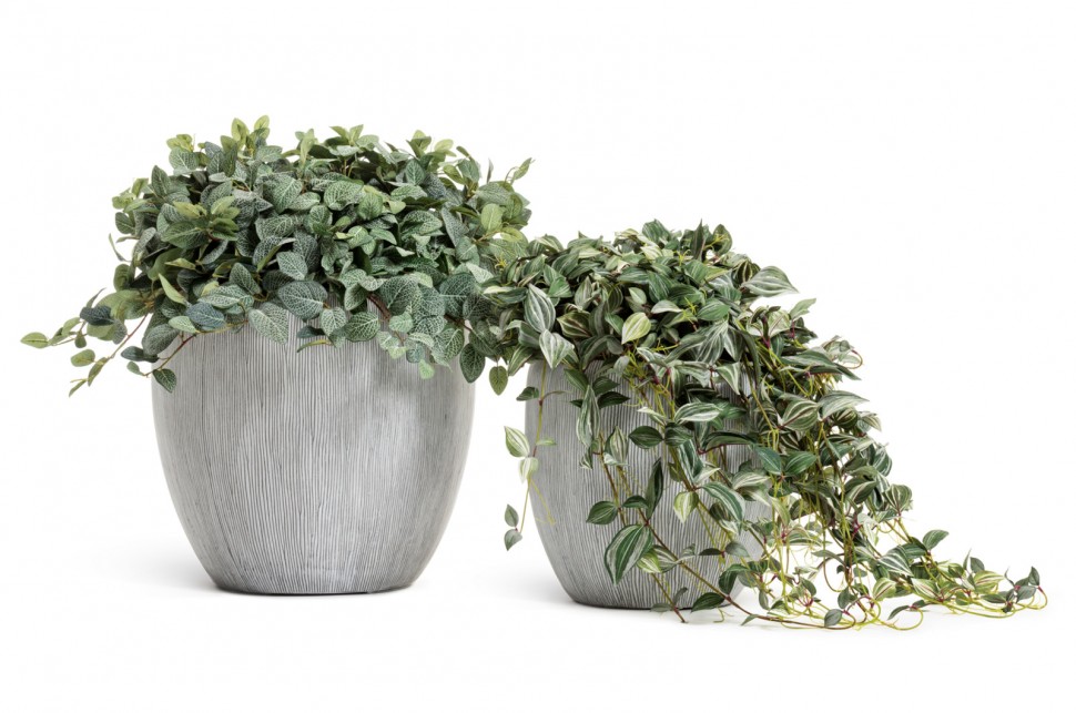 Кашпо TREEZ Effectory Wow Конус-Чаша Слоновая кость H-46 см в интернет-магазине Decoram.ru Фото