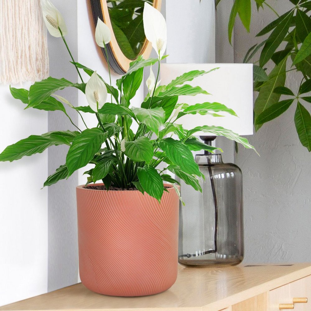 Кашпо настольное Флоу FLOR30-TE Idealist Lite H-30 см в интернет-магазине Decoram.ru Фото
