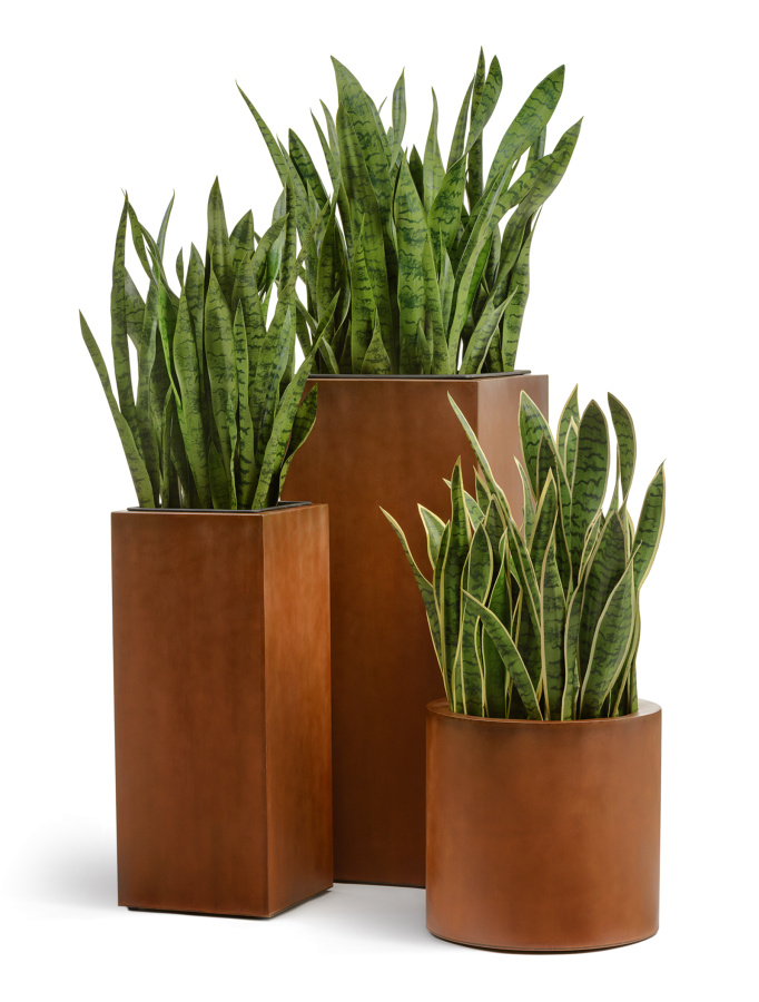 Кашпо TREEZ Effectory Corten Steel Цилиндр Бархатистая окись H-50 см в интернет-магазине Decoram.ru Фото