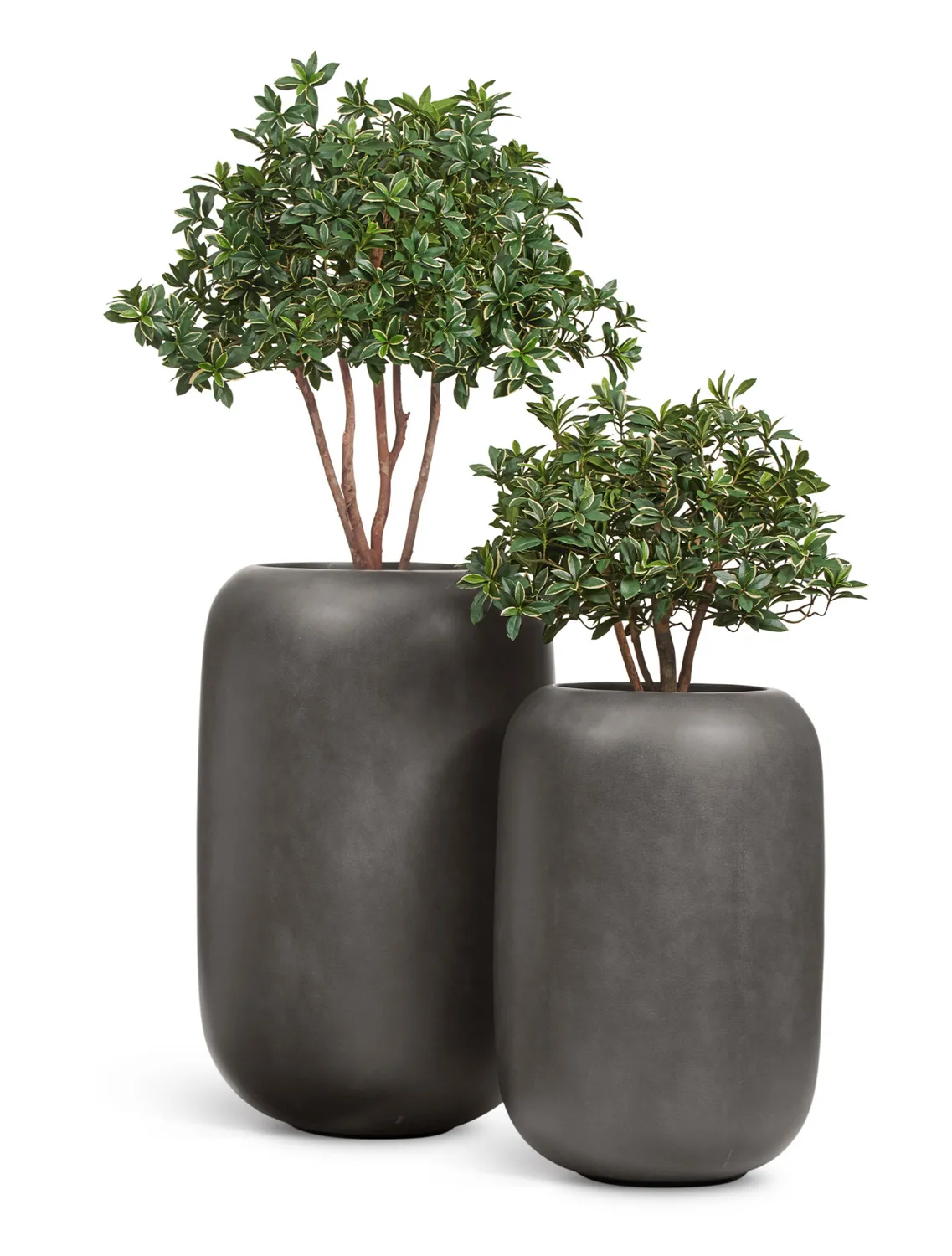 Кашпо TREEZ Effectory Beton Bionic Mon Графит H-86 см в интернет-магазине Decoram.ru Фото
