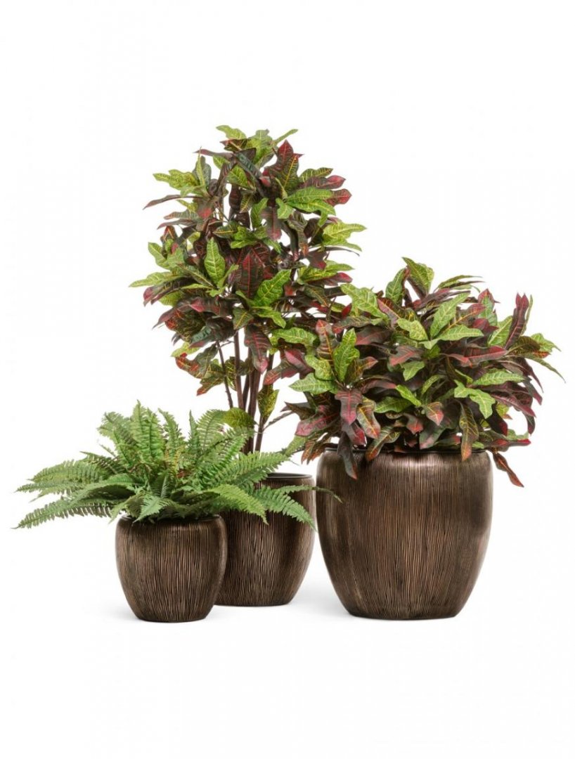 Кашпо TREEZ Effectory Wow Конус-Чаша Тёмное матовое золото H-28 см в интернет-магазине Decoram.ru Фото