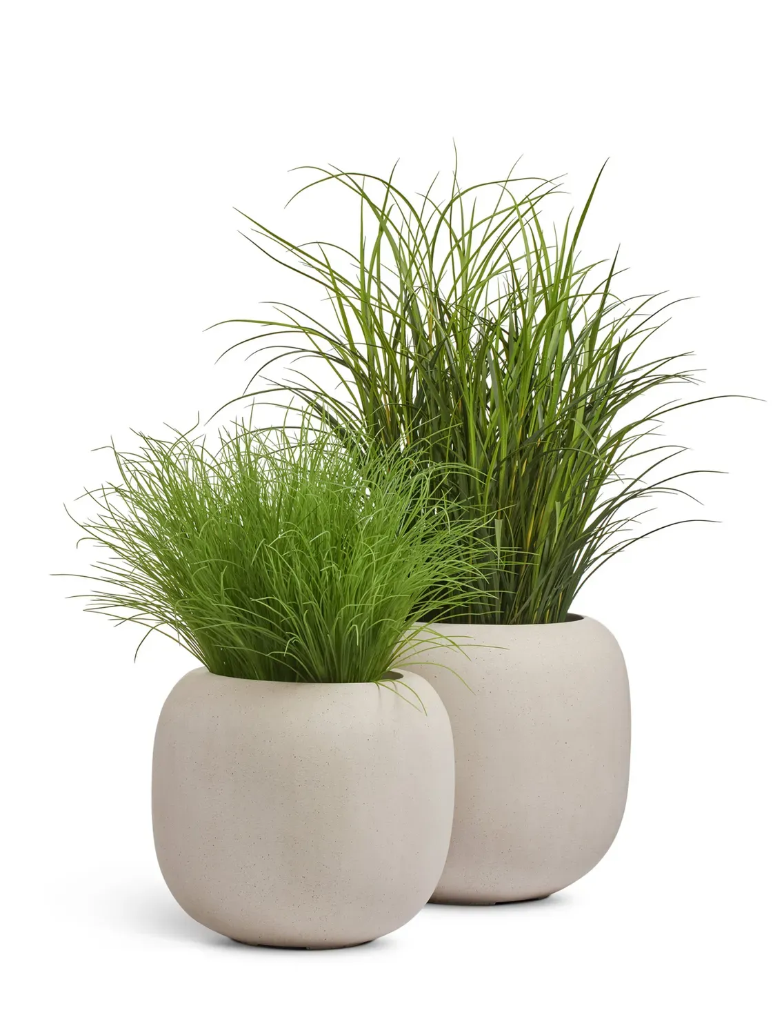 Кашпо TREEZ Effectory Beton Bionic Bol Белый песок H-52 см в интернет-магазине Decoram.ru Фото
